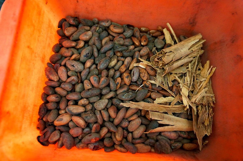 Chocolate Tradition in Oaxaca