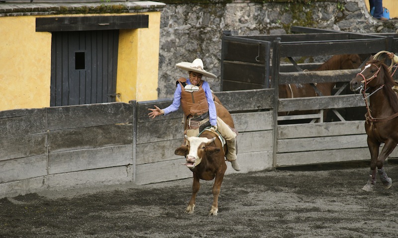 Charreria, the art of Mexican Rodeo DSC09116 copy