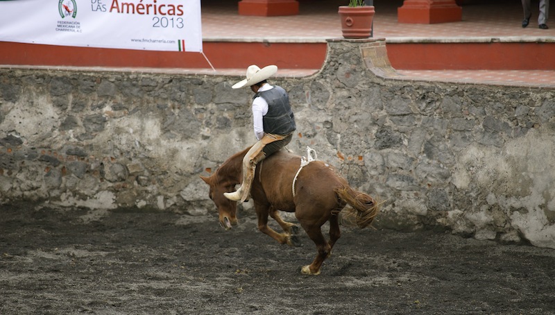 Charreria, the art of Mexican Rodeo DSC09127 copy
