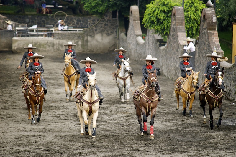 Charreria, the art of Mexican Rodeo II