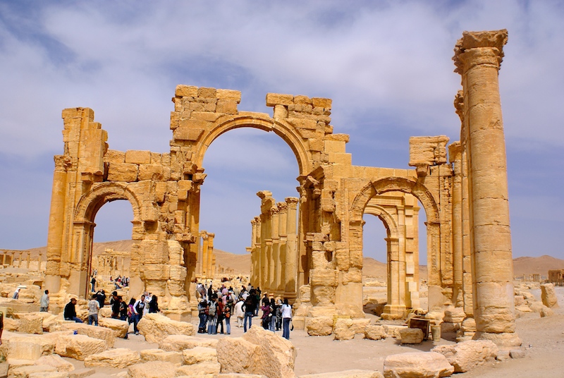 SONY DSC Mourning Palmyra